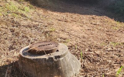 A Happy Citizen: A Solution to a 2 1/2 Year Problem