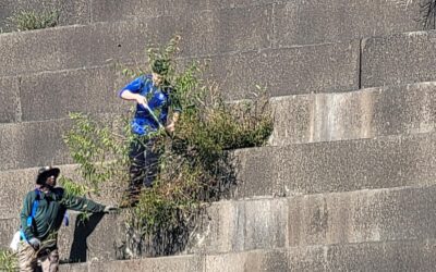 🌿 Maintaining Safety and Flow at Jack Turner Dam
