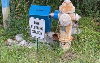 RWR Flushing Station