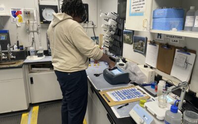 Routine Finished Water Chlorine Test