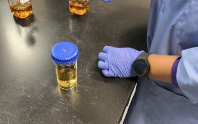 Ensuring Sterility: Quality Control Testing in the RWR Laboratory