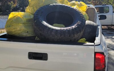 Rivers Alive 2025 – A Resounding Success!