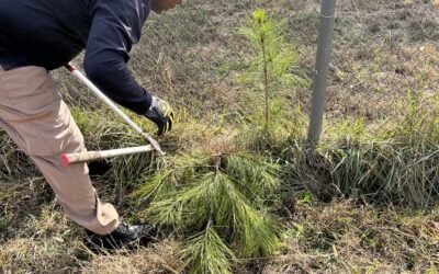 Keeping our Reservoir Clean