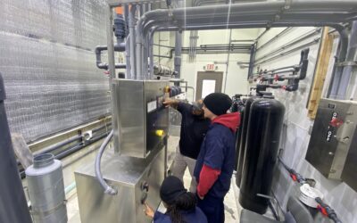 Resetting an MC500 Microclor Hypochlorite Generator