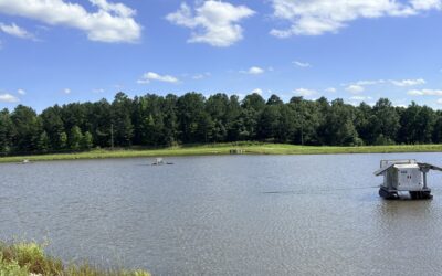 Rockdale Water Resources Reservoir