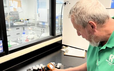 Disinfection Byproducts (DBP) Sample Handling and Analysis