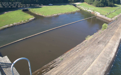 🌿💧 Why Vegetation Management Matters